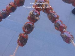 -糖葫芦王保定名吃(古莲花池店)