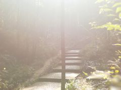 -镇江市南山风景名胜区竹林景区