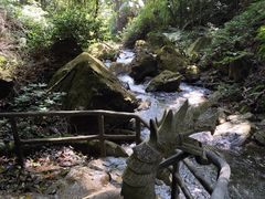 -莫里热带雨林景区
