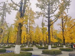 -两江幸福广场