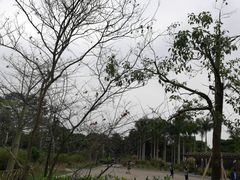 -大屏嶂森林公园