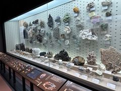 -浙江自然博物院(杭州馆)