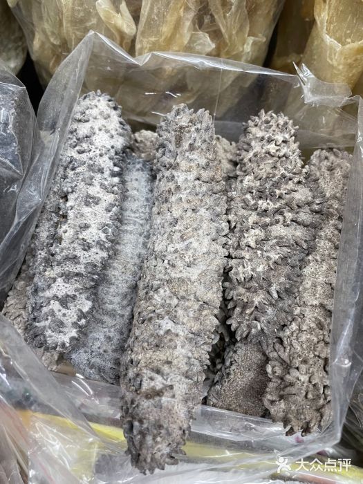 鸿港海鲜批发市场图片