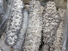 -鸿港海鲜批发市场
