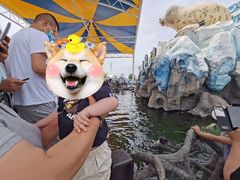 -华夏文旅海洋公园