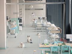 -怪兽屋·羊驼·猫咖·狗咖(俊华广场店)