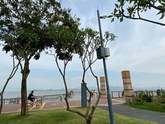 -深圳湾公园(南山区)