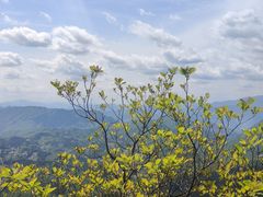 -剑门关风景区