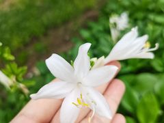 -朝阳公园