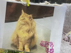 -藏猫猫咖啡主题馆(中央大道店)