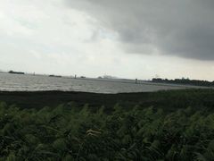 -吴淞炮台湾湿地森林公园烧烤区