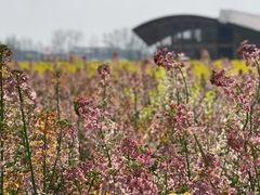 -中国天府农业博览园