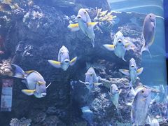 -成都浩海立方海洋公园