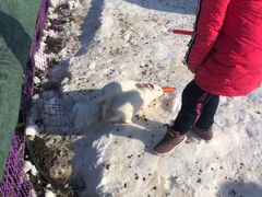 -绿野森林乐园冰雪季