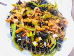 卧龙茄子-蜀江水川菜馆(金川家园店)