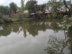 -洪湖家庭农场·团建·露营·会议