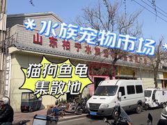 -山东柏宁水族批发广场