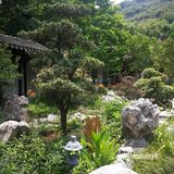 适合带家人过来养生休闲！值得推荐！