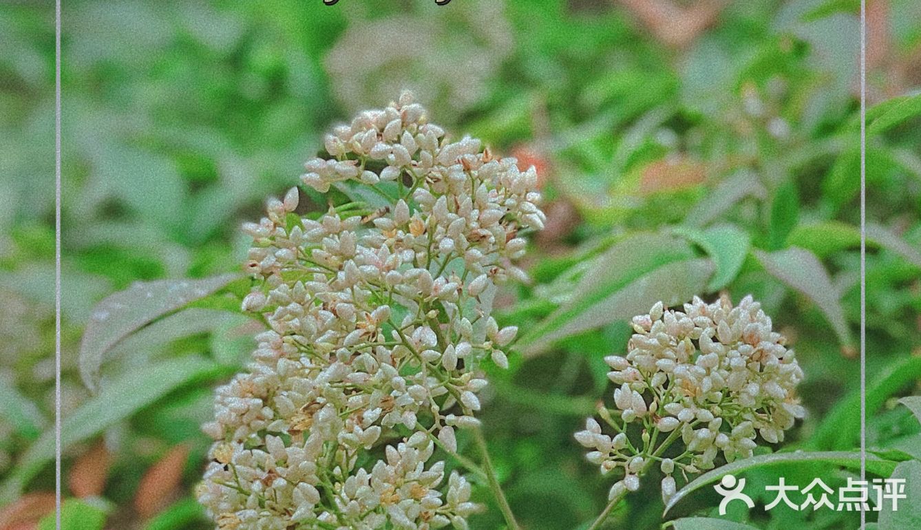 美食复苏日记｜逛超市，记得带杯咖啡鸭！
