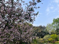 -星巴克(西湖天地店)