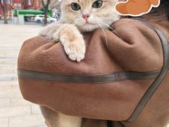 -囡的喵喵酱·萌宠生活馆·宠物洗护美容(胶州路店)