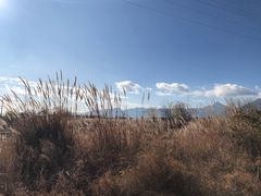 -沈记土鸡米线(七星街品牌中心店)