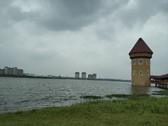 -九龙湖公园