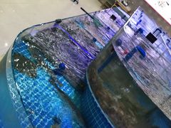 -必点蒸汽海鲜(止锚湾店)