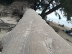 -马奴干岛
