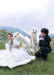 -钟爱一生婚纱摄影旗舰店