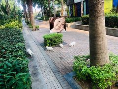 -车公庙(地铁站)