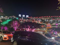 -枇杷园食为鲜火锅(南山店)