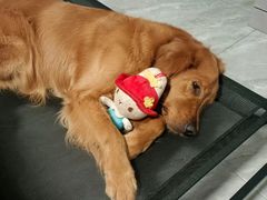 -宠颐生动物医院·心脏科·保险定点(锦阳分院)