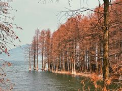 -四明湖