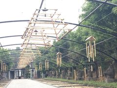 -森波拉火山温泉