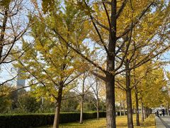-北京奥林匹克公园