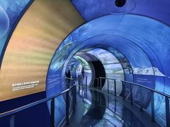 -房山世界地质公园博物馆