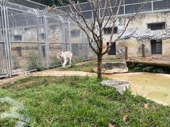 -黔灵山公园