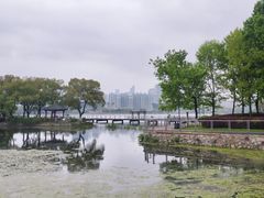 -月湖风景区