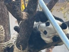 -无锡动物园·太湖欢乐园