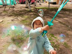 -长白岛森林公园