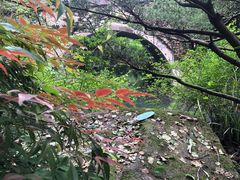 -杭州半山国家森林公园