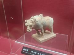 -亳州博物馆