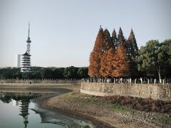 -长沙文和友(海信广场店)