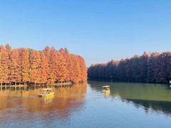 -上海海湾国家森林公园