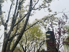 -西海子公园