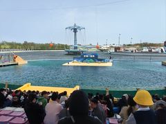 -秦皇岛乐岛海洋王国