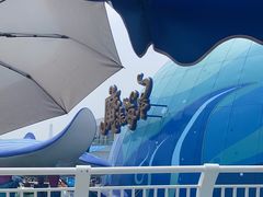 -海合安青岛极地海洋公园
