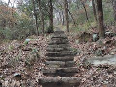 -青龙山国家森林公园