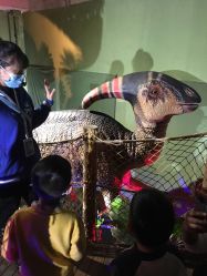 -恐龙探索乐园(磁器口店)